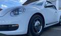Volkswagen Beetle Cabriolet 1.2 TSI BMT Sitzheizung/Tempomat TOP! White - thumbnail 2