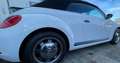 Volkswagen Beetle Cabriolet 1.2 TSI BMT Sitzheizung/Tempomat TOP! White - thumbnail 3