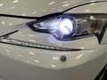 Lexus IS 300 300h BUSINESS LINE AUTOMAAT | 2e PINKSTERDAG OPEN Blanc - thumbnail 15