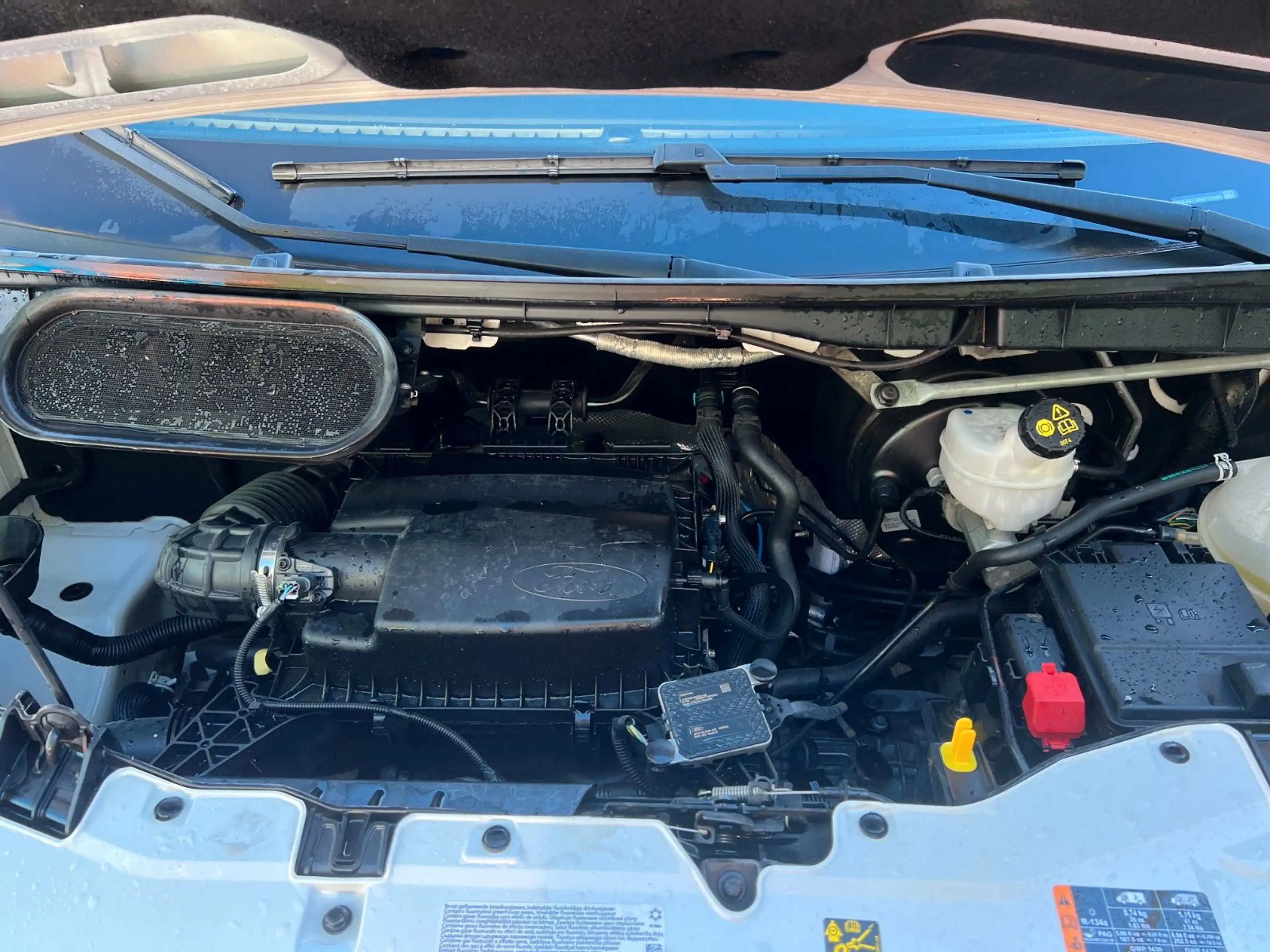 Ford Transit Kasten Trend L3H3 PDC Klima Nur 15TKM — photo 14