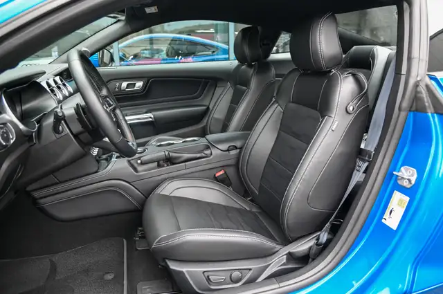 Ford Mustang view 11