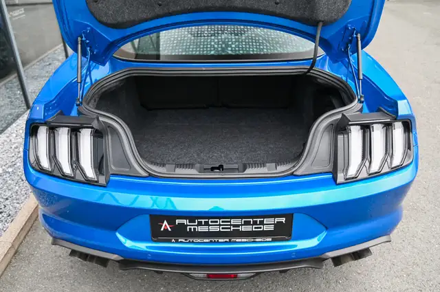 Ford Mustang view 8