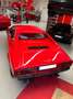 Ferrari Dino GT4 308 - Top Zustand Rouge - thumbnail 2