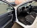 Kia Ceed Sportswagon Vision,Klima,navi.E6 Білий - thumbnail 12