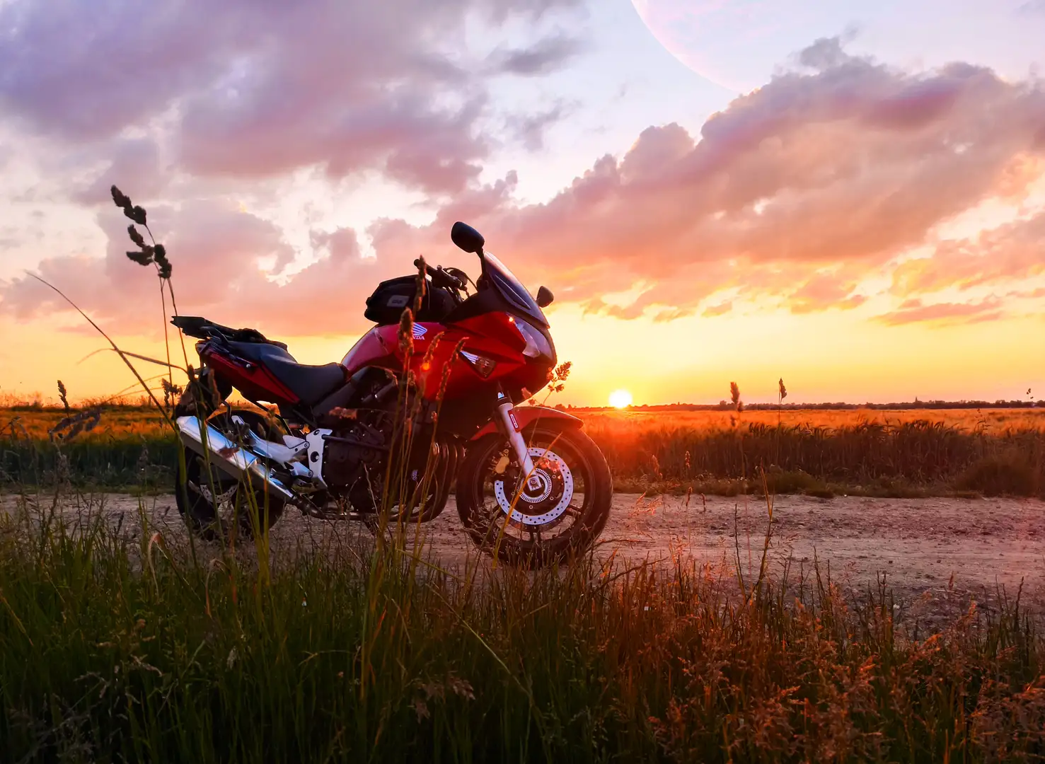 Honda CBF 600 Rot - 1