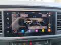 SEAT Ateca 1.0 TSI S&S Style XM Blanco - thumbnail 20