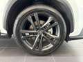 Lexus NX 350h 350h 2.5 premium+ 4wd e-cvt Wit - thumbnail 16