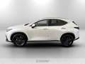 Lexus NX 350h 350h 2.5 premium+ 4wd e-cvt Wit - thumbnail 3