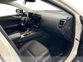 Lexus NX 350h 350h 2.5 premium+ 4wd e-cvt Wit - thumbnail 6