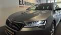 Skoda Superb Premium Edition 4x4 *AHK*CANTON*LED*LEDER*MEMORY* Grijs - thumbnail 2