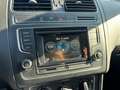 Volkswagen Polo Polo 1.2 TSI 5p. Comfortline BlueMotion Technology Grigio - thumbnail 14