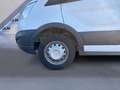 Ford Transit Transit 350 2.2TDCi 155CV PL-SL-RG RWD Cabinato T Bianco - thumbnail 6