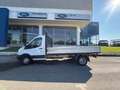 Ford Transit Transit 350 2.2TDCi 155CV PL-SL-RG RWD Cabinato T Bianco - thumbnail 2