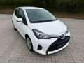 Toyota Yaris Yaris 1,0 VVT-i Active Active Weiß - thumbnail 12