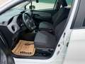 Toyota Yaris Yaris 1,0 VVT-i Active Active Weiß - thumbnail 13
