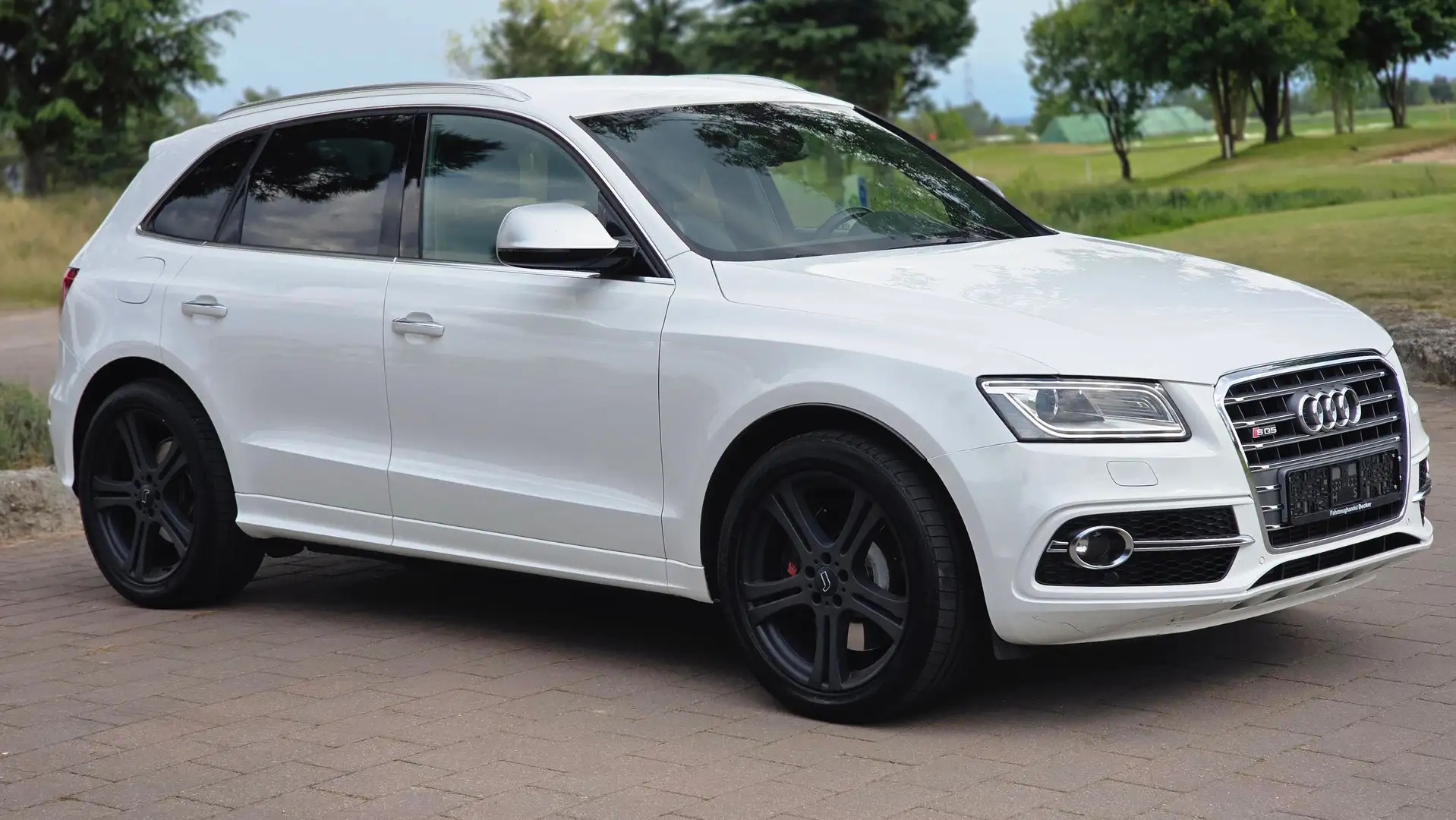 Audi SQ5 3.0 TDI Quattro ALCAN AHK KAM SDHZG EU6 DAB White - 1