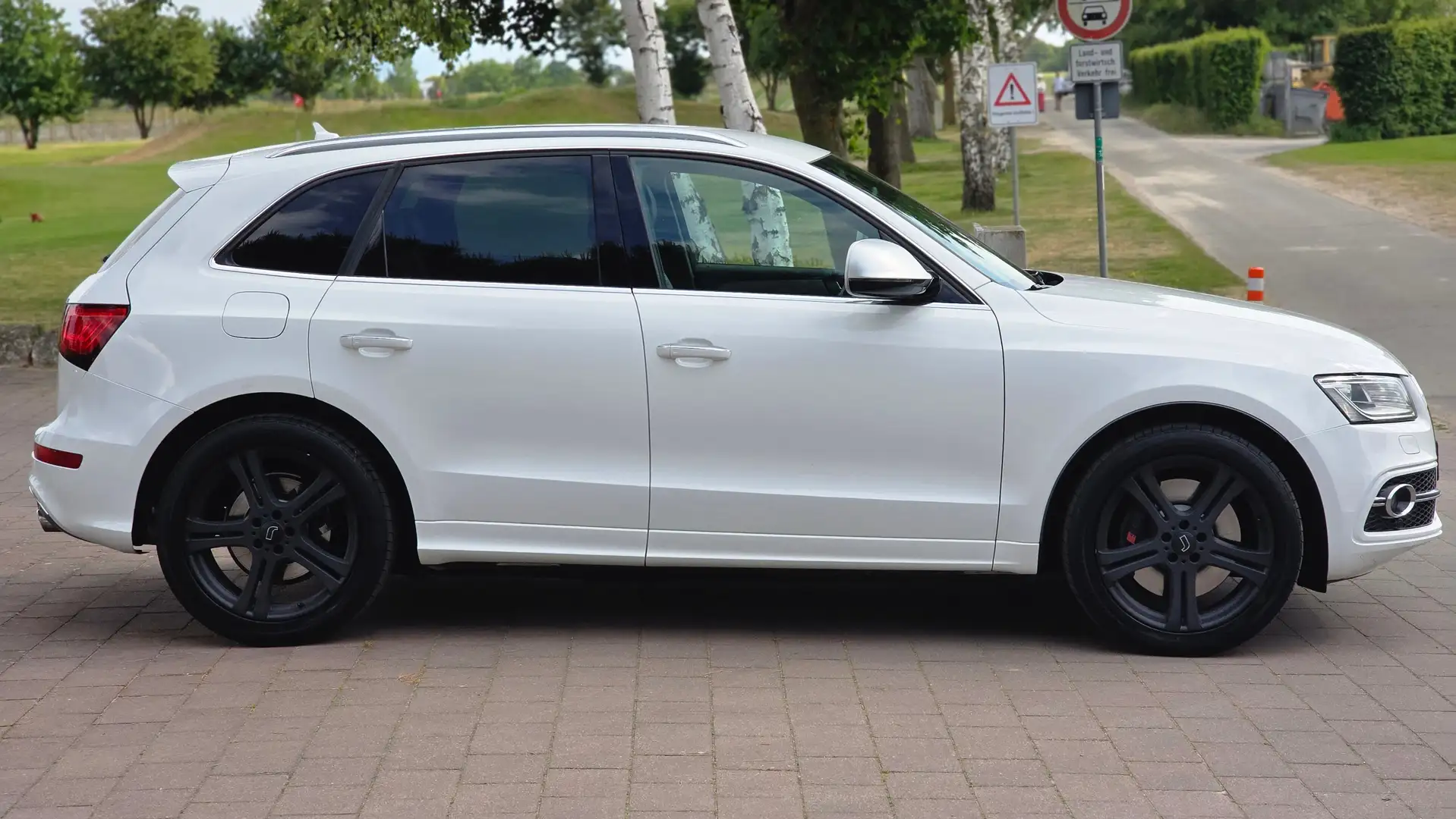 Audi SQ5 3.0 TDI Quattro ALCAN AHK KAM SDHZG EU6 DAB White - 2