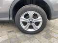Ford Kuga 2.0 TDCi Trend AHK*LED*SHZ*SYNC*2xKlima*AHK Gris - thumbnail 12