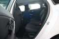 Volvo V40 Cross Country Basis,1.Hand,Automatik Alb - thumbnail 11