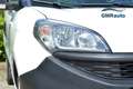 Fiat Doblo Fiat Doblo Combi 5 posti N1 PREZZO PIU' IVA - thumbnail 12