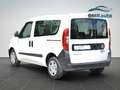 Fiat Doblo Fiat Doblo Combi 5 posti N1 PREZZO PIU' IVA - thumbnail 4