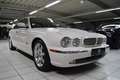Jaguar XJ8 3.5 Liter/Echter Sammlerzustand - thumbnail 1