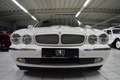 Jaguar XJ8 3.5 Liter/Echter Sammlerzustand - thumbnail 3