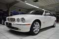 Jaguar XJ8 3.5 Liter/Echter Sammlerzustand - thumbnail 4