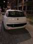 Fiat Punto Evo 1.3 mjt 90cv Bianco - thumbnail 8