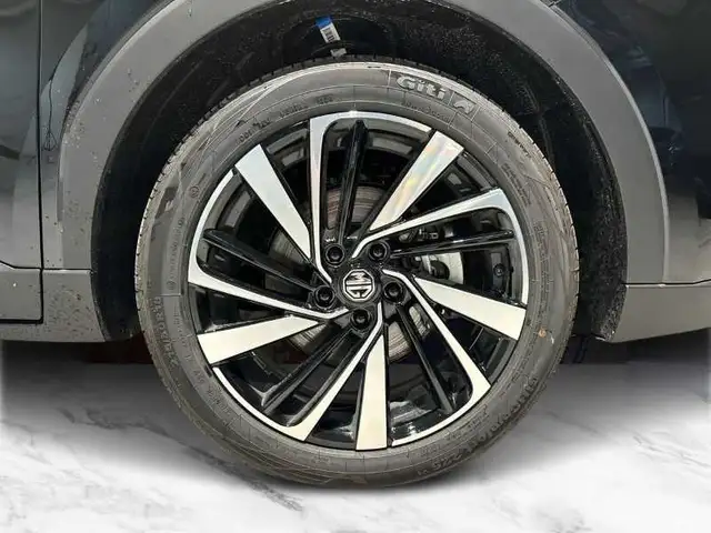 MG ZS view 8