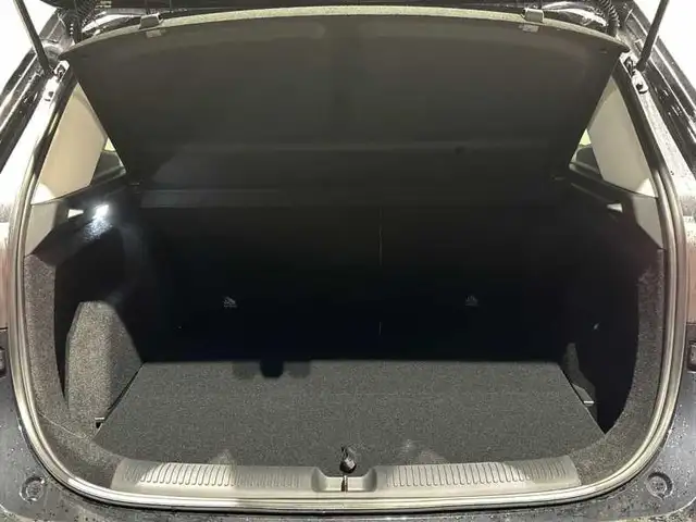 MG ZS view 7
