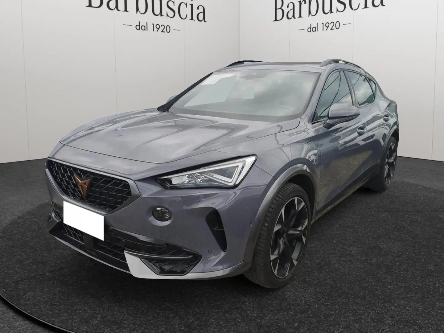 CUPRA Formentor 2020 - 1.4 e-hybrid 204cv dsg Grijs - 1
