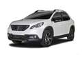 Peugeot 2008 1.2 PT t. Allure s&s 110cv eat6 my16 Bianco - thumbnail 20