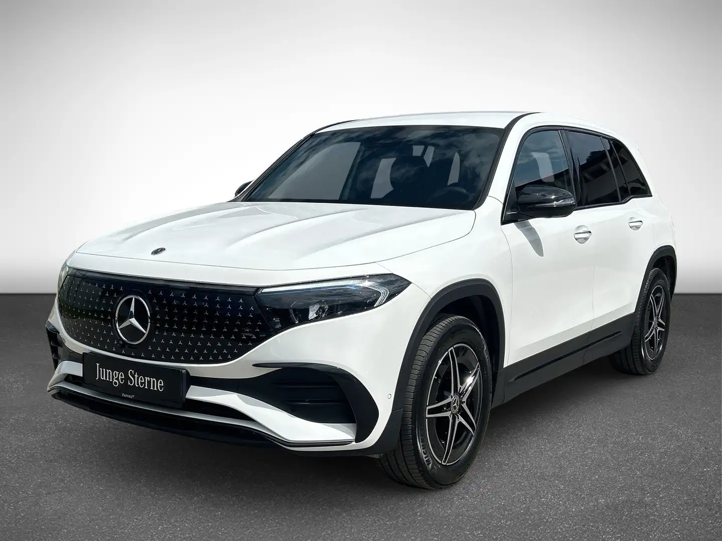 Mercedes-Benz EQB 250 + Österreich-Edition PTS Navi AUT Wide Weiß - 2