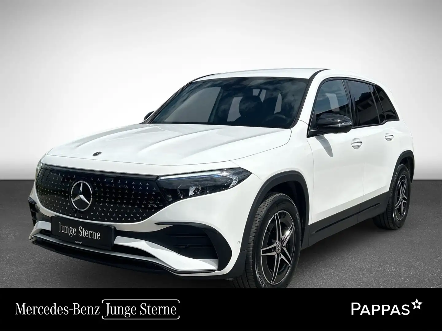 Mercedes-Benz EQB 250 + Österreich-Edition PTS Navi AUT Wide Weiß - 1