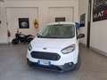 Ford Transit Courier Transit Courier 1.0 EcoBoost 100CV Van Entry Bianco - thumbnail 10