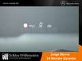 Mercedes-Benz C 300 de 4M T Avantgarde/LED/Fahrass+/Pano-D/HuD Blau - thumbnail 13