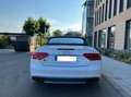 Audi S5 Cabrio S tronic White - thumbnail 2