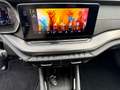 Skoda Octavia RS DSG PHEV Grau - thumbnail 10