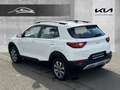 Kia Stonic 1.0 T-GDI Vision Navi Apple CarPlay Android Auto K Weiß - thumbnail 3