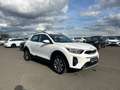 Kia Stonic 1.0 T-GDI Vision Navi Apple CarPlay Android Auto K Weiß - thumbnail 6