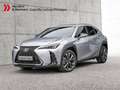 Lexus UX 300h F-Sport SHZ LEDER KAMERA NAVI ACC LED Silber - thumbnail 1