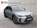 Lexus UX 300h F-Sport SHZ LEDER KAMERA NAVI ACC LED Silber - thumbnail 5