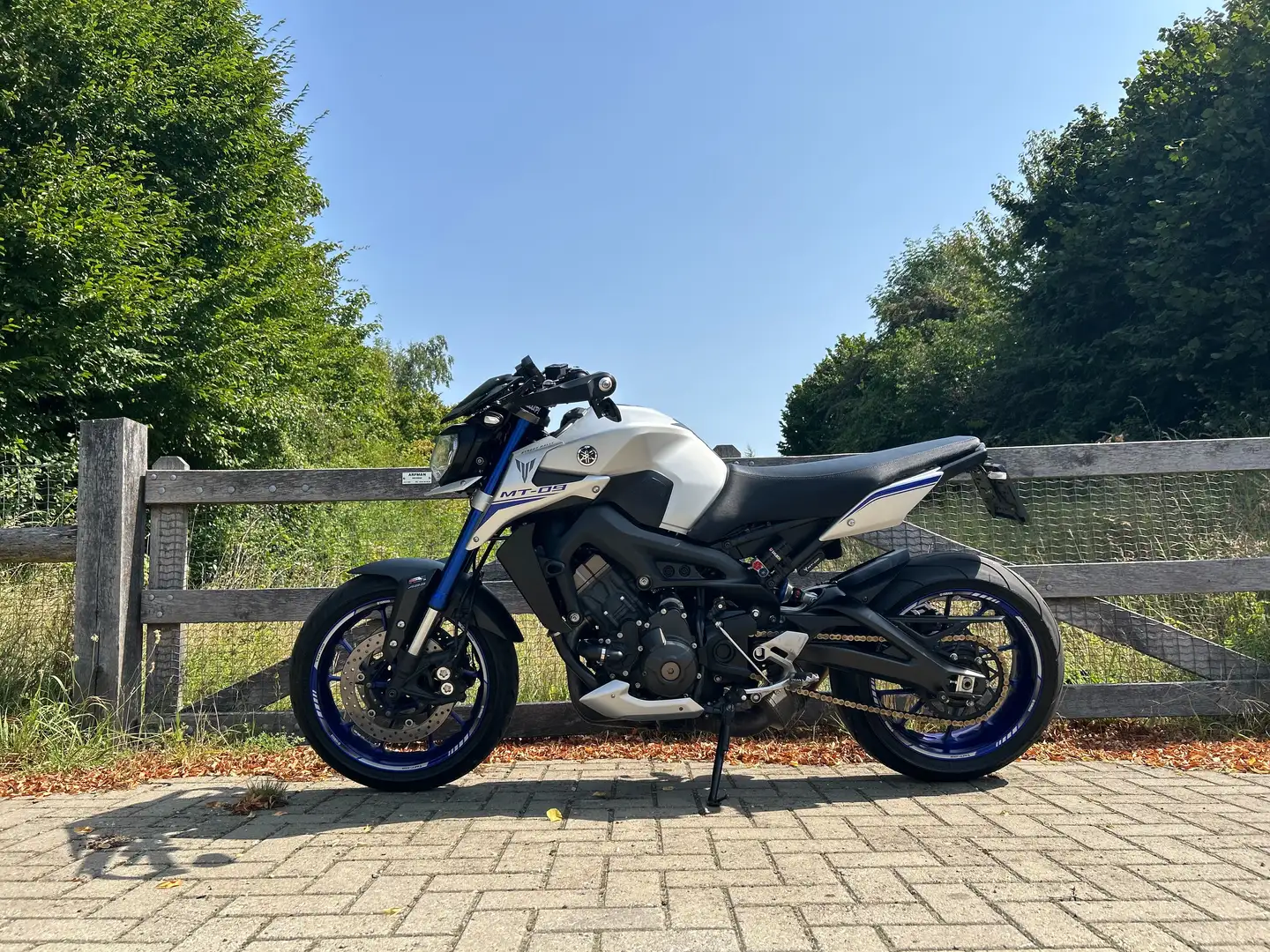 Yamaha MT-09 Street Rally Argent - 2