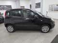Fiat New Panda natural power - thumbnail 5