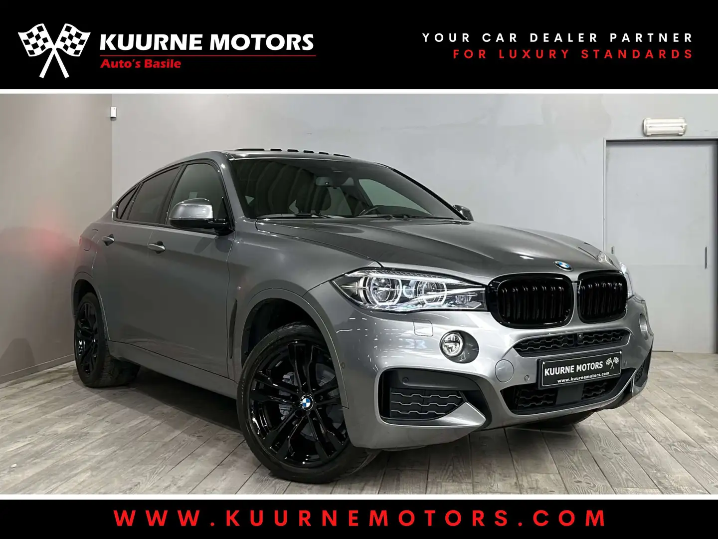 BMW X6 xDrive30dA M Pack Alu20\/OpenDak/Acc *1j garantie* Gris - 1
