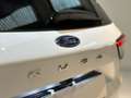Ford Kuga 1.5 EcoBoost 150 CV 2WD ST-Line Weiß - thumbnail 18
