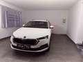 Skoda Octavia 2.0 TDI Ambition AHK LED FLA LANEASSIST SMARTLINK Weiß - thumbnail 3