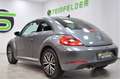 Volkswagen Beetle Lim. Allstar BMT / LED / NAVI / T-LEDER Gri - thumbnail 5