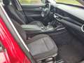 Alfa Romeo Stelvio Stelvio 2017 2.2 t Business rwd 180cv auto Rouge - thumbnail 9